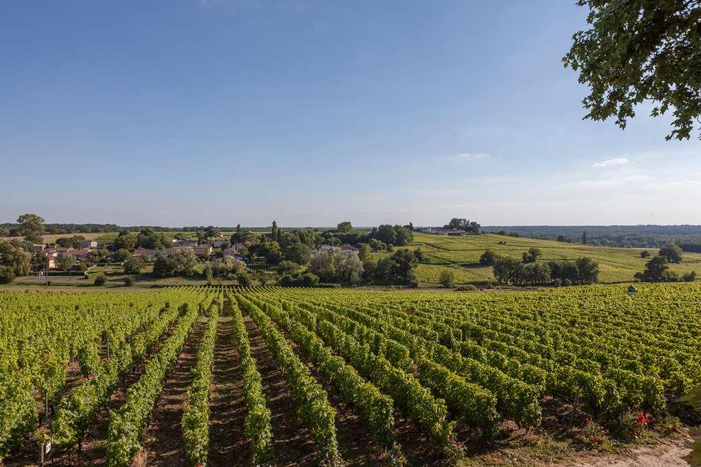 Chateau D'Arche, Grand Cru Classe De ซัวแตร์น สิ่งอำนวยความสะดวก รูปภาพ