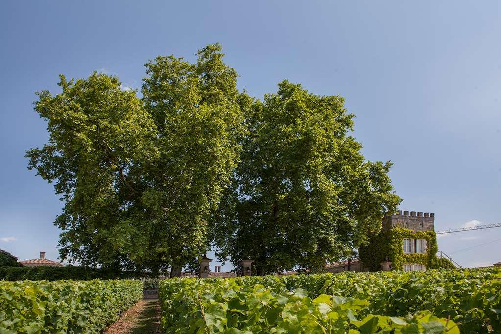 Chateau D'Arche, Grand Cru Classe De ซัวแตร์น สิ่งอำนวยความสะดวก รูปภาพ