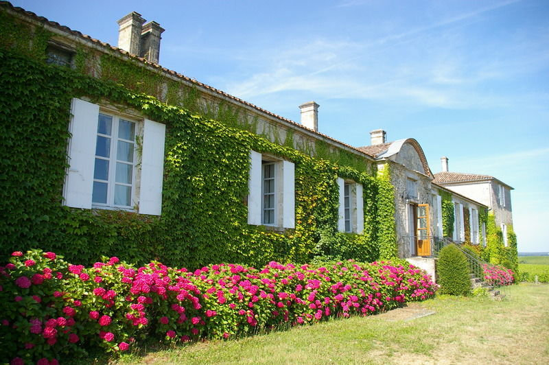 Chateau D'Arche, Grand Cru Classe De ซัวแตร์น ภายนอก รูปภาพ